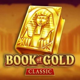 game logo by Playson on luckyvibes-au.com