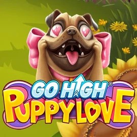 game logo by RubyPlay on luckyvibes-au.com
